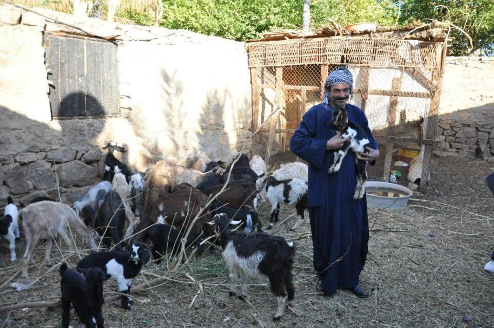 Nubian Farm Aswan 빌라 외부 사진