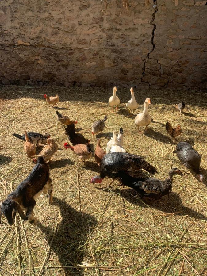 Nubian Farm Aswan 빌라 외부 사진