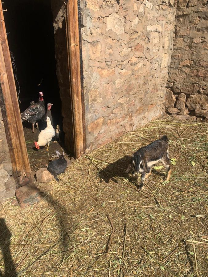 Nubian Farm Aswan 빌라 외부 사진
